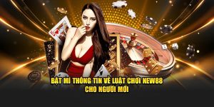 Bật Mí Thông Tin Về Luật Chơi NEW88 Cho Người Mới