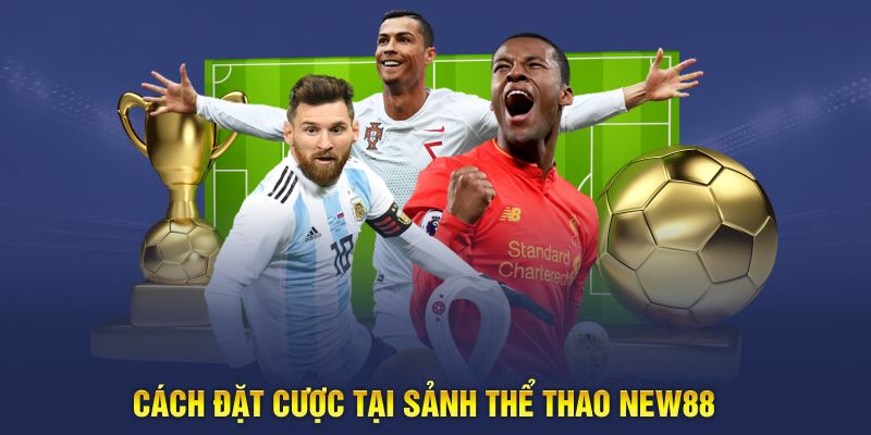 Cách đặt cược tại sảnh thể thao New88