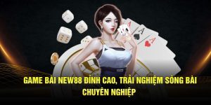 Game Bài New88 Đỉnh Cao, Trải Nghiệm Sòng Bài Chuyên Nghiệp