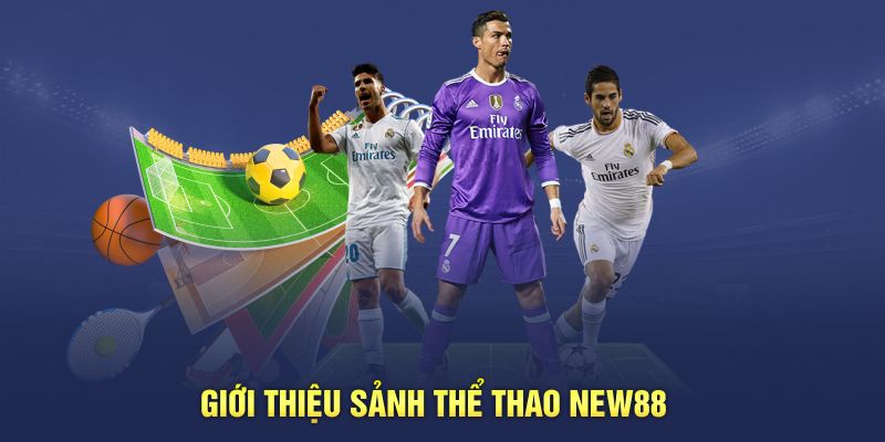 Giới thiệu sảnh thể thao New88 