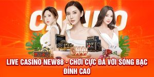 Live Casino New88 - Chơi Cực Đã Với Sòng Bạc Đỉnh Cao