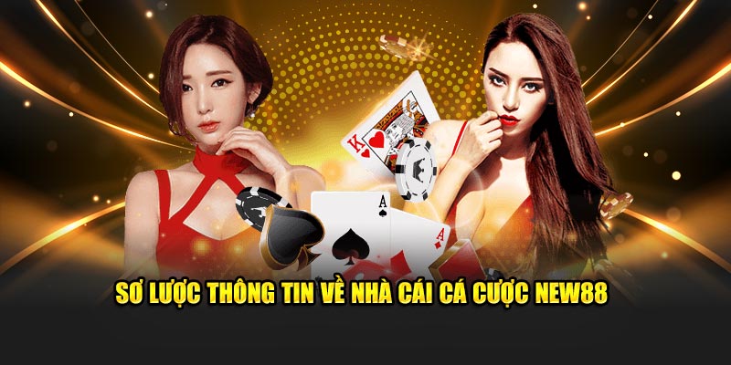 Sơ lược thông tin về nhà cái cá cược NEW88