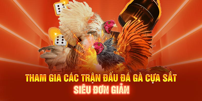 Tham gia các trận đấu đá gà cựa sắt siêu đơn giản